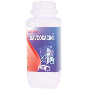 SAVOXACIN