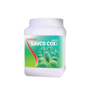 SAVCOCOX